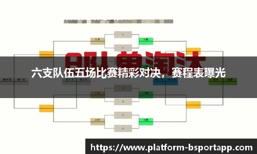 B体育官方网站