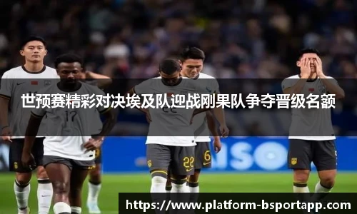 B体育官方网站